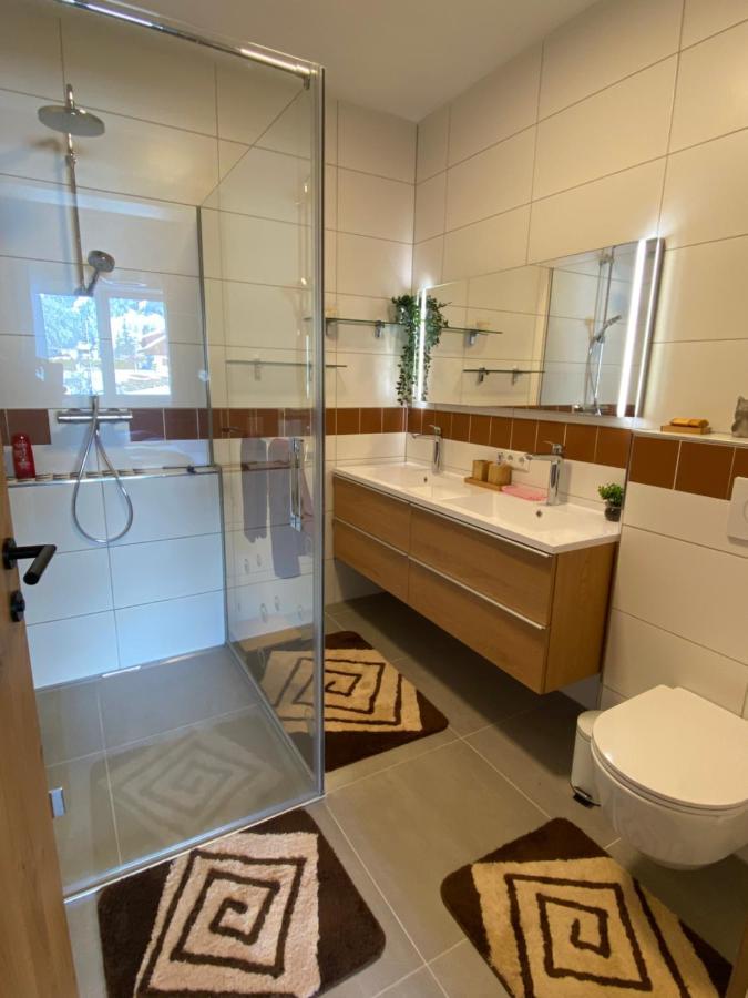 شقة Moderne Kaminstube رامساو أم داتشستين المظهر الخارجي الصورة